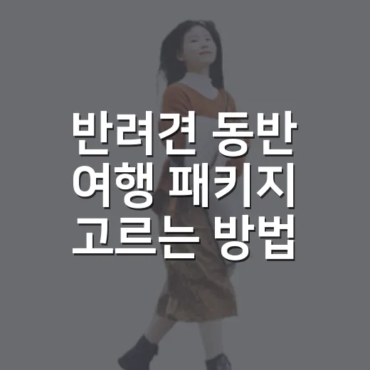 반려견 동반 여행 패키지 고르는 방법 - 요약