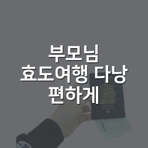 부모님 효도여행 다낭 편하게 준비하는 방법 - 요약