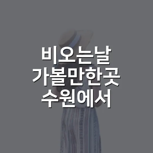 비오는날 가볼만한곳 수원에서 고르는 방법 - 요약