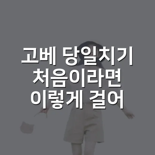 고베 당일치기 처음이라면 이렇게 걸어보세요 - 요약