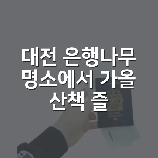 대전 은행나무 명소에서 가을 산책 즐기는 방법 - 요약