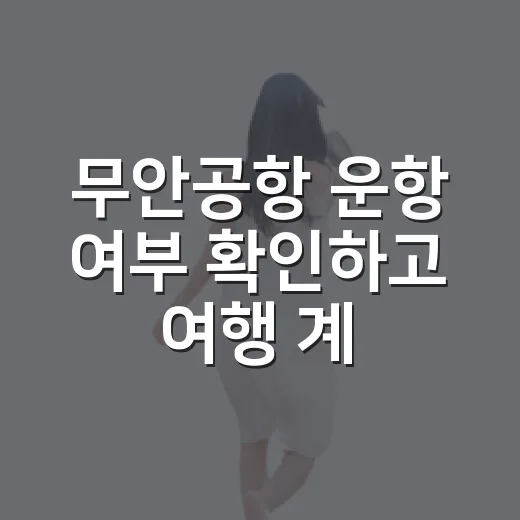 무안공항 운항 여부 확인하고 여행 계획 세우는 방법 - 요약