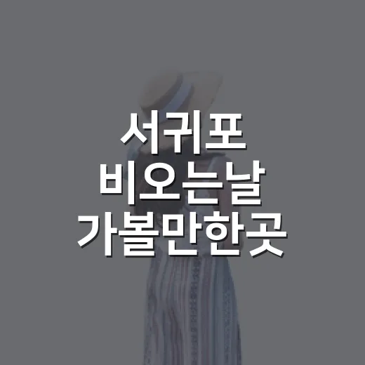서귀포 비오는날 가볼만한곳 고르는 방법 - 요약
