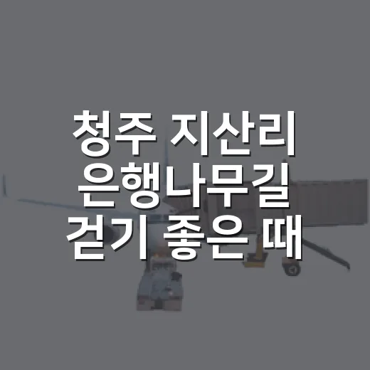 청주 지산리 은행나무길 걷기 좋은 때와 찾아가는 방법 - 요약