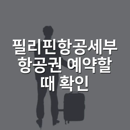 필리핀항공세부 항공권 예약할 때 확인하는 방법 - 요약