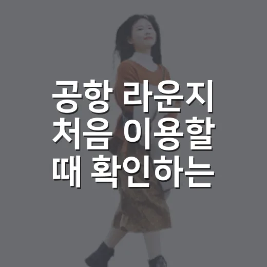 공항 라운지 처음 이용할 때 확인하는 방법 - 요약