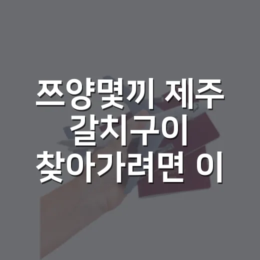 쯔양몇끼 제주 갈치구이 찾아가려면 이렇게 움직이면 편합니다 - 요약