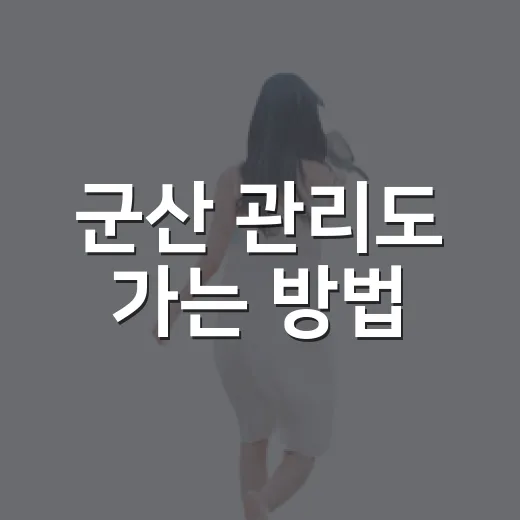 군산 관리도 가는 방법, 장자도 선착장에서 헷갈리지 않게 잡는 동선 - 요약