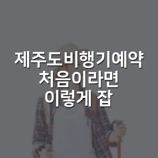 제주도비행기예약 처음이라면 이렇게 잡으면 덜 헤맵니다 - 요약