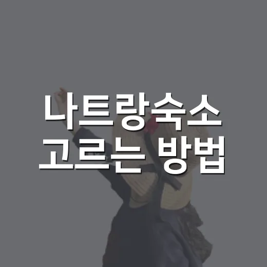 나트랑숙소 고르는 방법: 공항·해변·야시장 동선으로 잡으면 덜 헤맵니다 - 요약