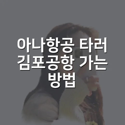 아나항공 타러 김포공항 가는 방법, 터미널·체크인·주변 동선까지 - 요약