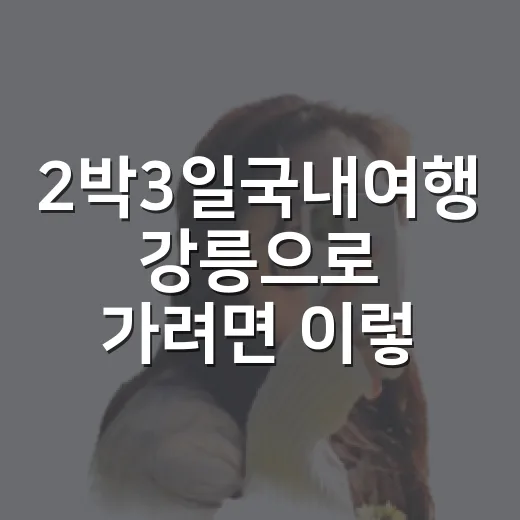 2박3일국내여행 강릉으로 가려면 이렇게 움직이면 덜 헤맵니다 - 요약