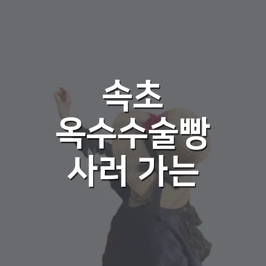 속초 옥수수술빵 사러 가는 방법: 중앙시장 위치와 주변 코스까지 - 요약