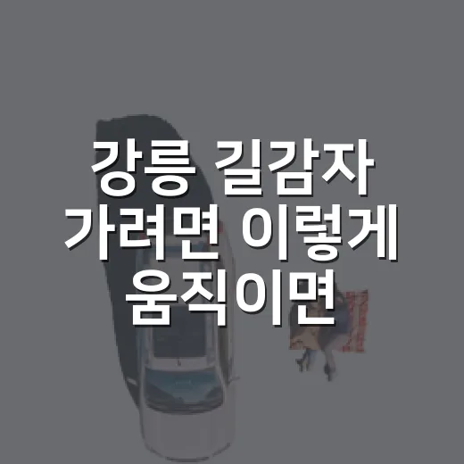 강릉 길감자 가려면 이렇게 움직이면 덜 헤맵니다 - 요약