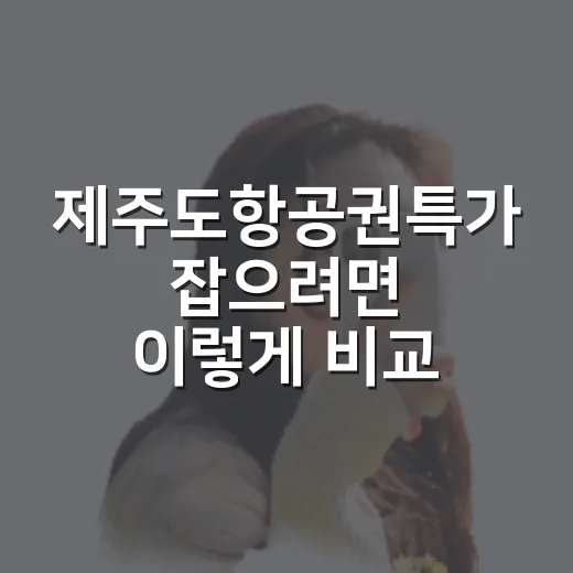 제주도항공권특가 잡으려면 이렇게 비교하고 이동 동선까지 맞추는 방법 - 요약