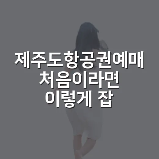 제주도항공권예매 처음이라면 이렇게 잡는 방법 - 요약