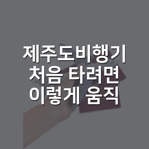 제주도비행기 처음 타려면 이렇게 움직이면 덜 헤맵니다 - 요약