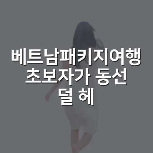 베트남패키지여행 초보자가 동선 덜 헤매는 방법 - 요약