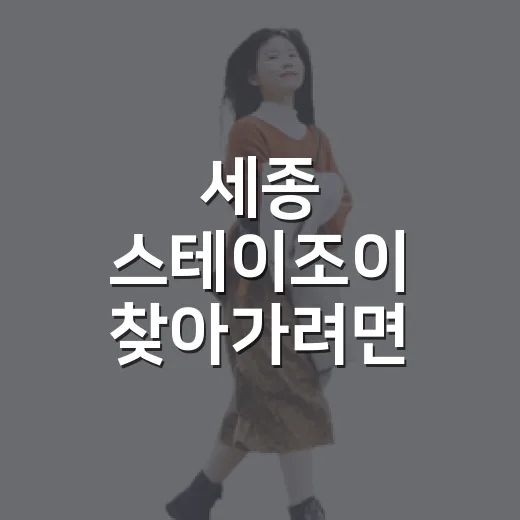 세종 스테이조이 찾아가려면 이렇게, 경복궁역부터 주변 코스까지 - 요약
