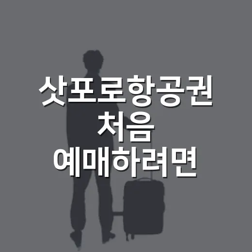 삿포로항공권 처음 예매하려면 이렇게 잡으면 덜 헤맵니다 - 요약