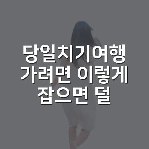 당일치기여행 가려면 이렇게 잡으면 덜 헤맵니다 - 요약