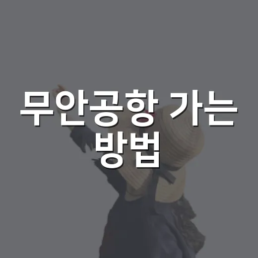 무안공항 가는 방법, 버스·자가용·주변 코스까지 헷갈리지 않게 잡는 법 - 요약
