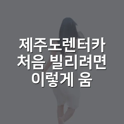 제주도렌터카 처음 빌리려면 이렇게 움직이면 됩니다 - 요약