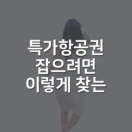 특가항공권 잡으려면 이렇게 찾는 방법 - 요약