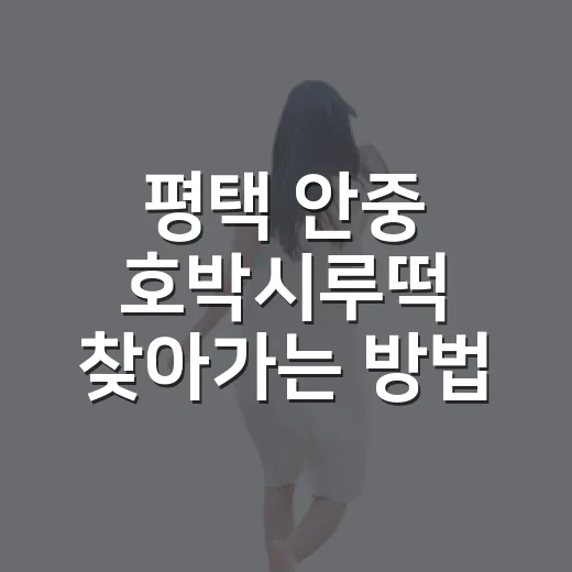 평택 안중 호박시루떡 찾아가는 방법, 초행길도 덜 헤매는 동선 - 요약