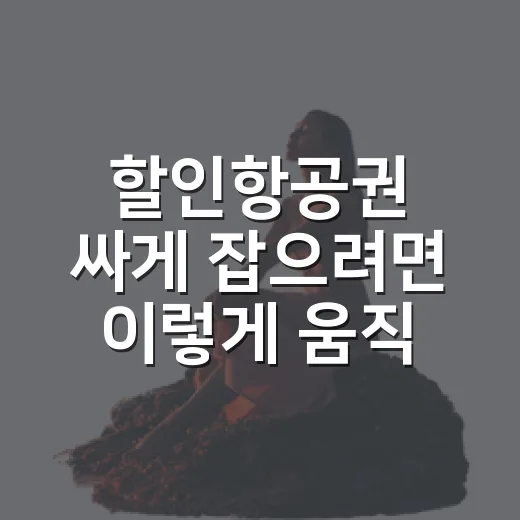 할인항공권 싸게 잡으려면 이렇게 움직이면 덜 헤맵니다 - 요약