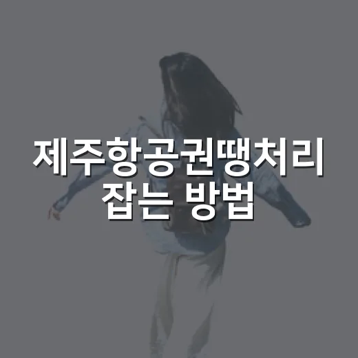 제주항공권땡처리 잡는 방법, 공항 동선까지 헷갈리지 않게 예약하려면 이렇게 - 요약
