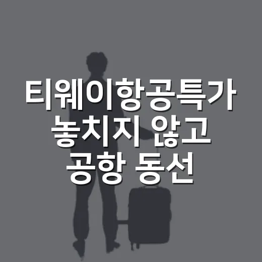티웨이항공특가 놓치지 않고 공항 동선까지 챙기는 방법 - 요약