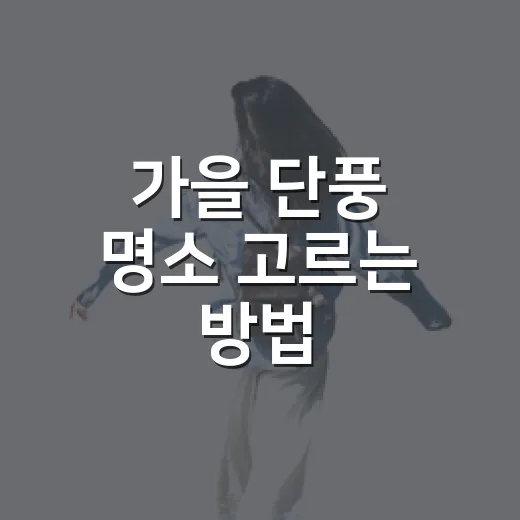 가을 단풍 명소 고르는 방법, 길치도 덜 헤매는 동선 기준 - 요약