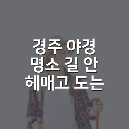경주 야경 명소 길 안 헤매고 도는 방법 - 요약