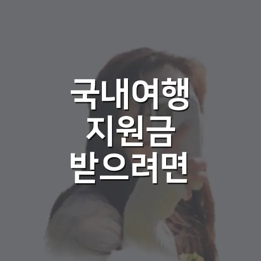 국내여행 지원금 받으려면 이렇게 준비하세요 - 요약