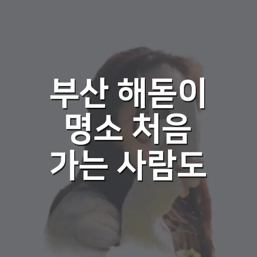 부산 해돋이 명소 처음 가는 사람도 덜 헤매는 방법 - 요약