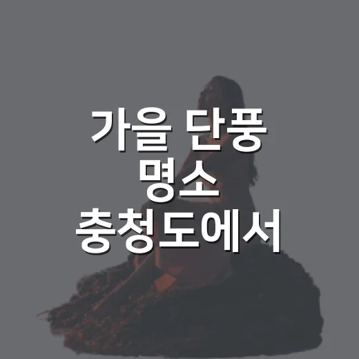 가을 단풍 명소 충청도에서 고르려면 이렇게 동선을 잡는 방법 - 요약