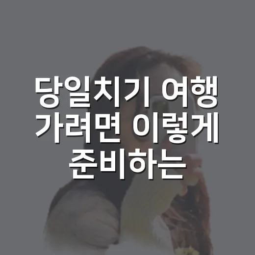 당일치기 여행 가려면 이렇게 준비하는 방법 - 요약