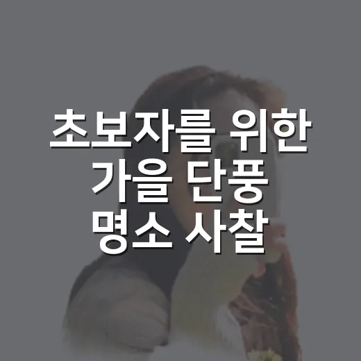 초보자를 위한 가을 단풍 명소 사찰 가는 방법과 코스 잡는 법 - 요약