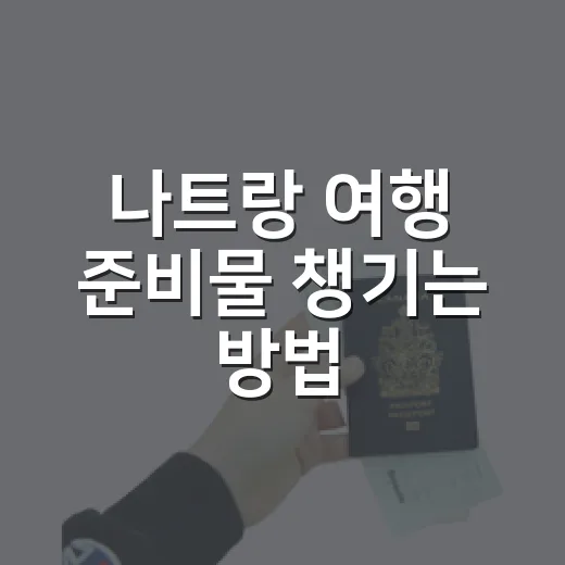 나트랑 여행 준비물 챙기는 방법, 공항부터 시내 동선까지 덜 헤매려면 이렇게 - 요약