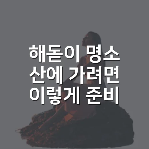 해돋이 명소 산에 가려면 이렇게 준비하면 덜 헤맵니다 - 요약