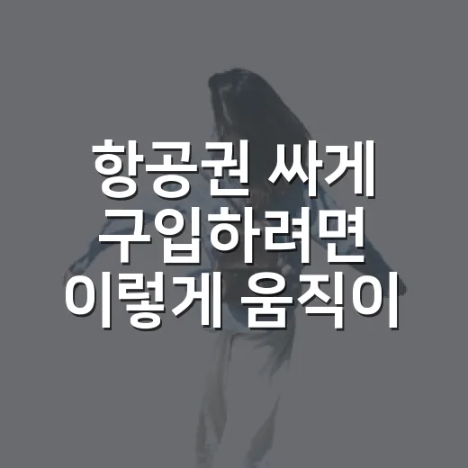 항공권 싸게 구입하려면 이렇게 움직이면 덜 헤맵니다 - 요약