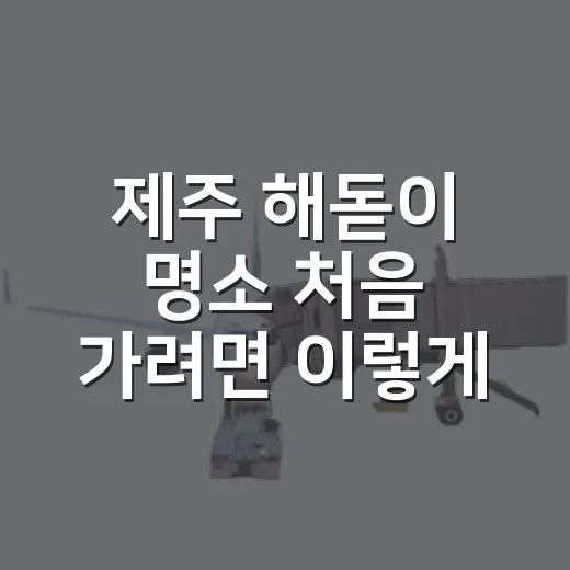 제주 해돋이 명소 처음 가려면 이렇게 동선 잡는 방법 - 요약