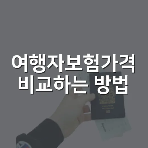 여행자보험가격 비교하는 방법, 공항 가기 전 이렇게 계산하면 헷갈리지 않습니다 - 요약
