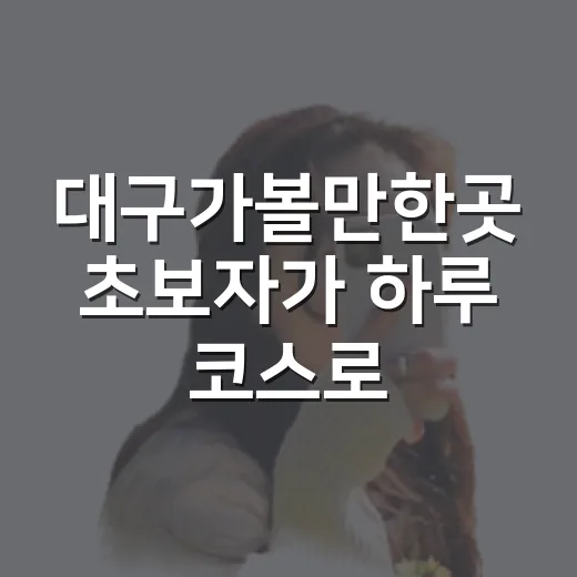 대구가볼만한곳 초보자가 하루 코스로 도는 방법 - 요약