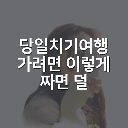 당일치기여행 가려면 이렇게 짜면 덜 헤맵니다 - 요약