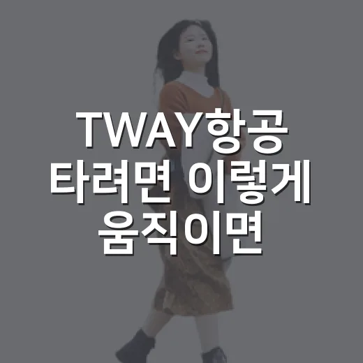 TWAY항공 타려면 이렇게 움직이면 덜 헤맵니다 - 요약