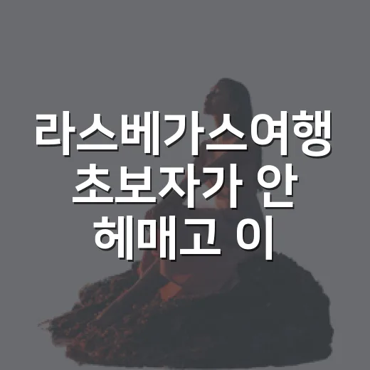 라스베가스여행 초보자가 안 헤매고 이동하는 방법 - 요약