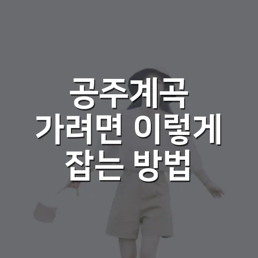 공주계곡 가려면 이렇게 잡는 방법: 동학사·갑사·마곡사 동선 안내 - 요약