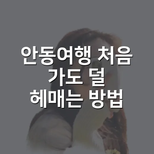 안동여행 처음 가도 덜 헤매는 방법: 역에서 하회마을·월영교까지 동선 잡기 - 요약